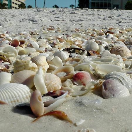 1+1 Large Condo Sarasota Dış mekan fotoğraf