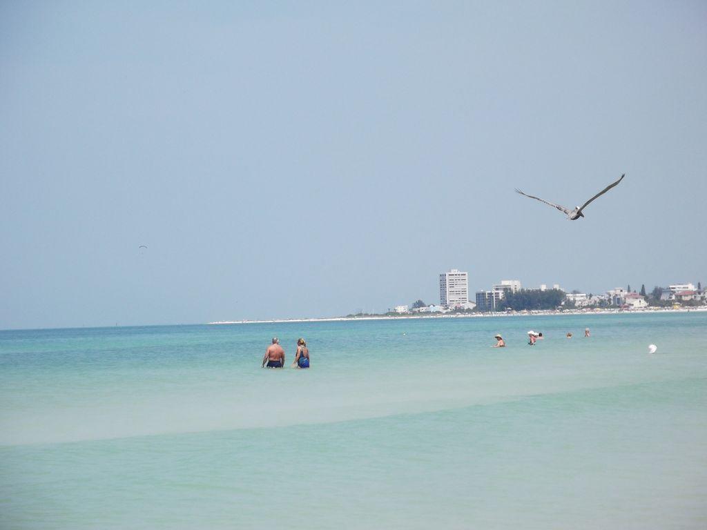 1+1 Large Condo Sarasota Dış mekan fotoğraf